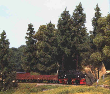 Harz-Szene in H0m